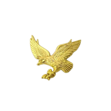 Gold Kartal Bagaj Logosu