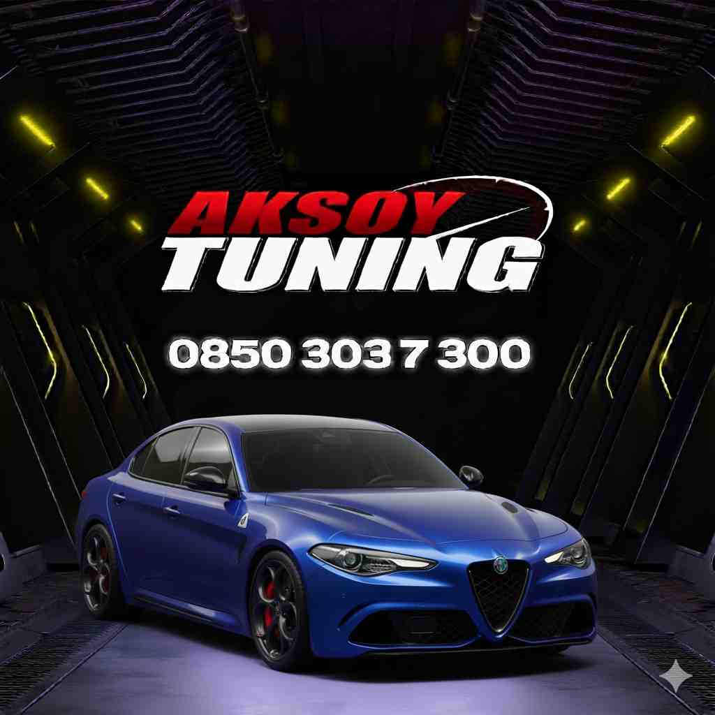 Fren Kaliper Boyama Hizmeti