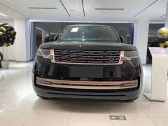 Range Rover Vogue 2023+ Golden Kit