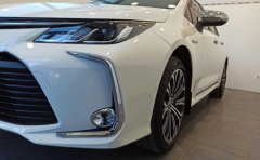 Toyota Corolla 2019+ Uyumlu Yedek Parça Sis Halkası Nikelaj