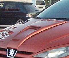 Peugeot 206 Uyumlu Yedek Parça Kaput Havalandırma