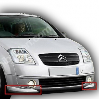 Citroen C2 Flap Boyalı