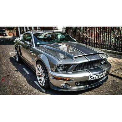 Ford Uyumlu Mustang Kaput